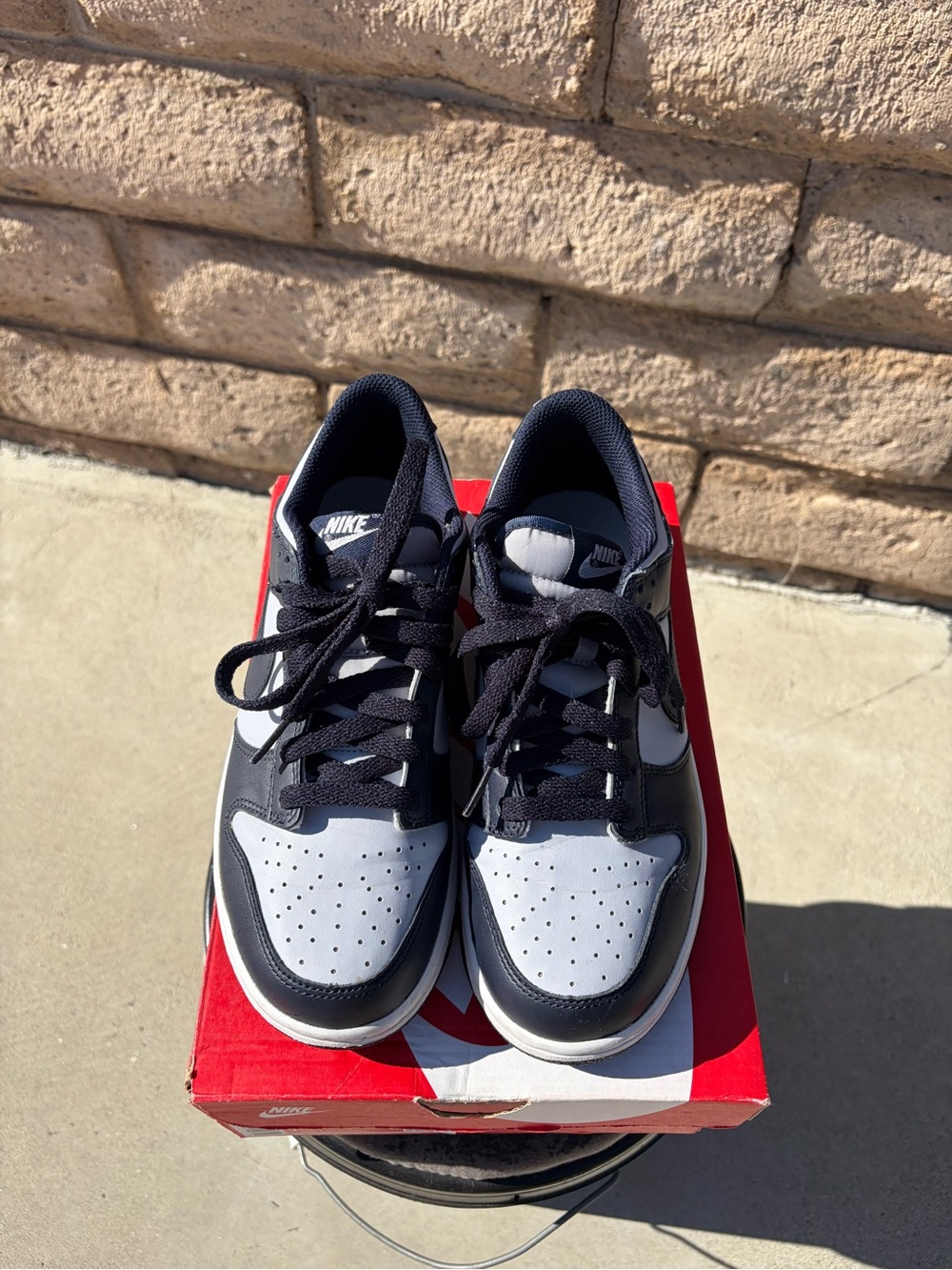 Nike Kids Navy Blue / lights Gray Low-Top Dunks